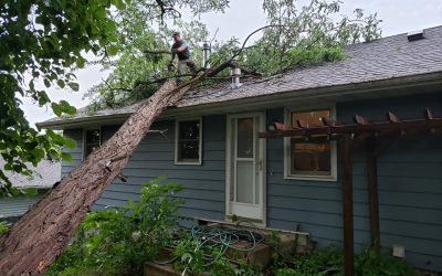 Timely Storm Damage Repairs in Hugo MN